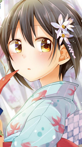 花火(uzumakinaruto花火)