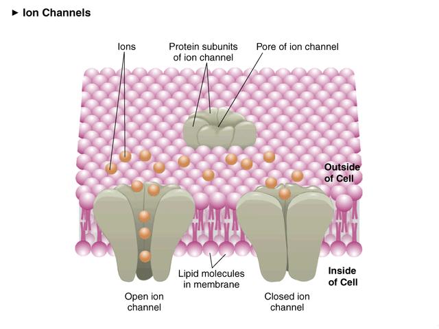 Bione(beone官网) Bione(beone官网)