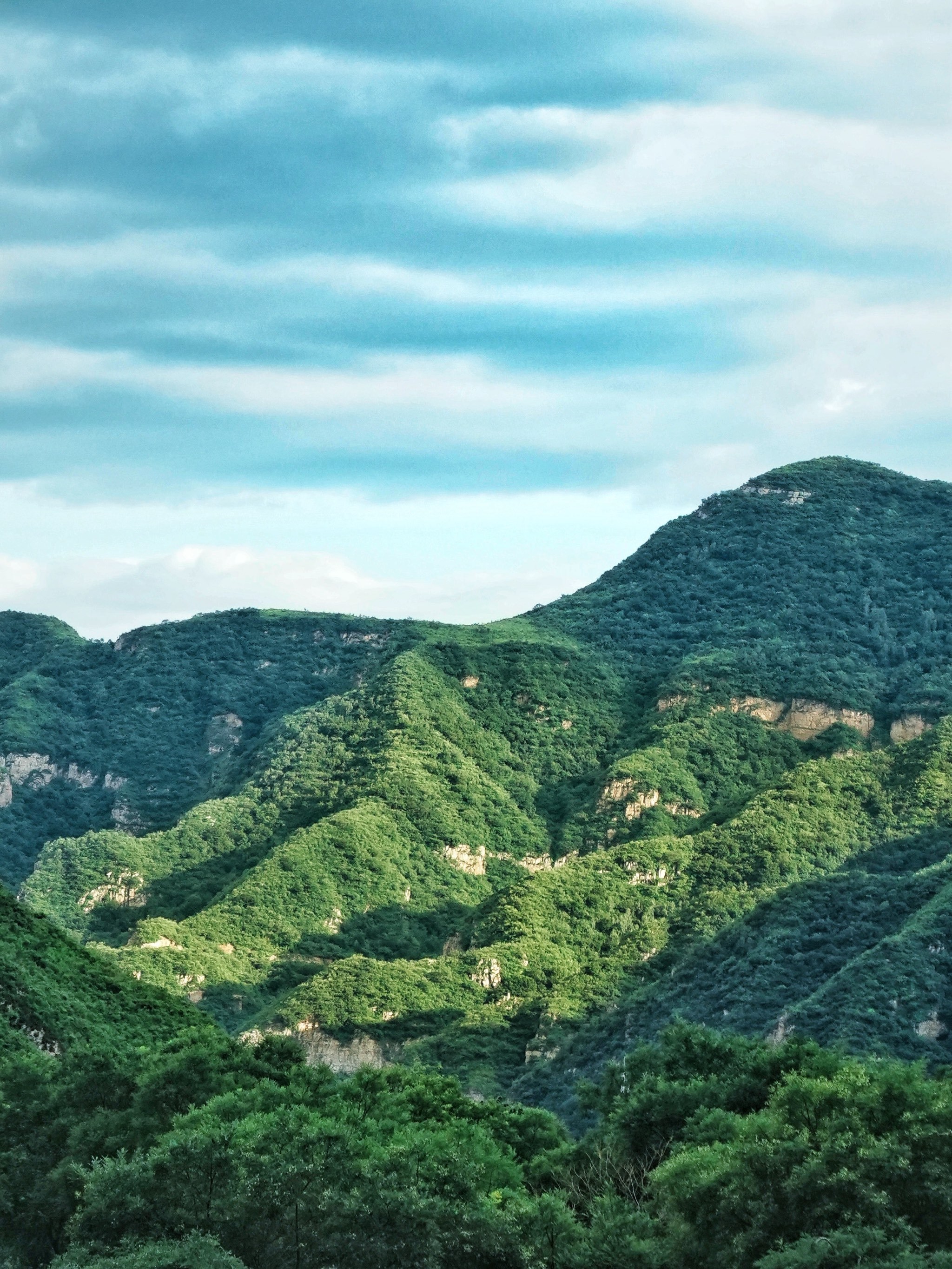 BIVIP(比vip还要高的称号)