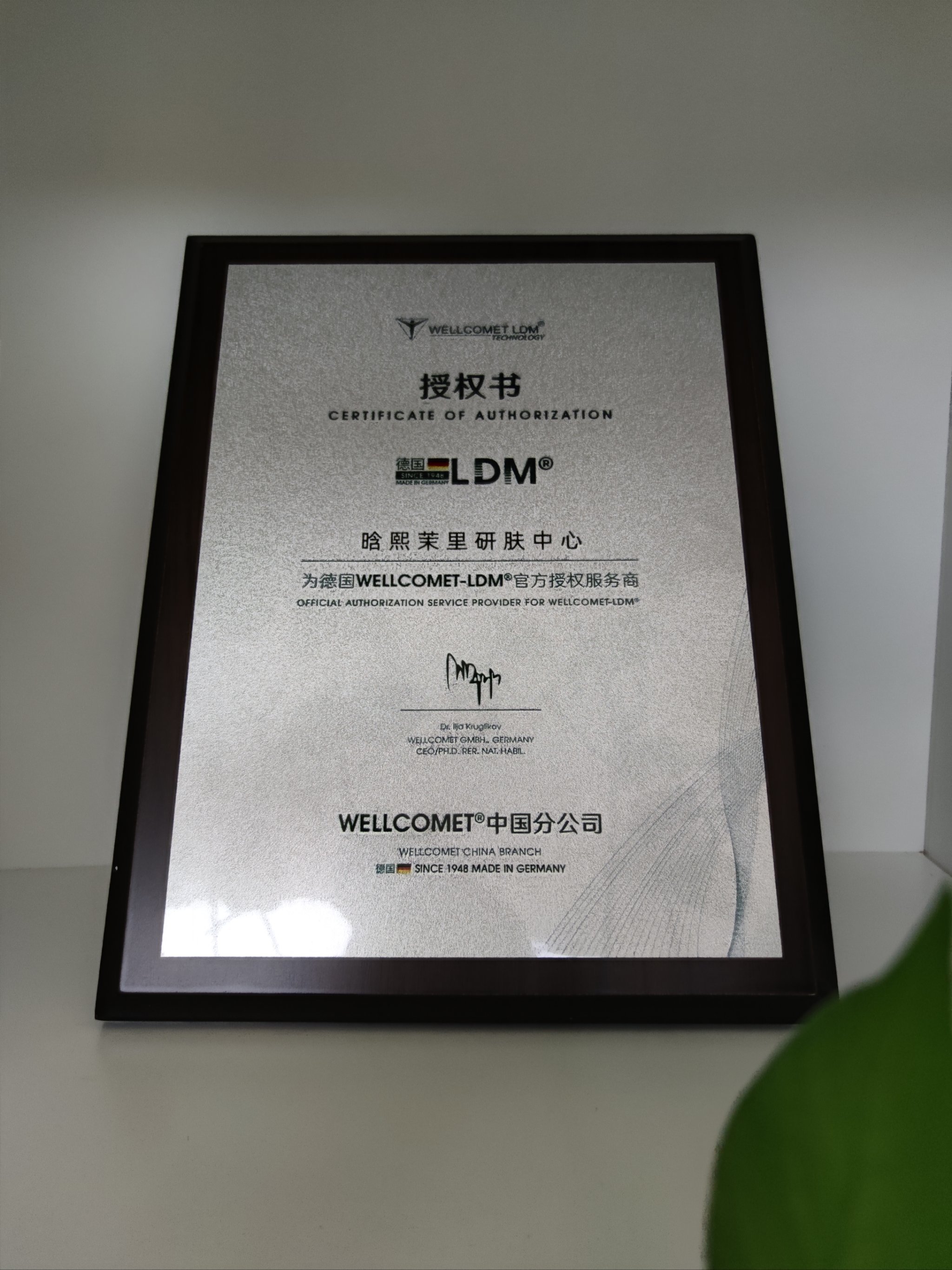 BIVIP(比VIP更高级的词)