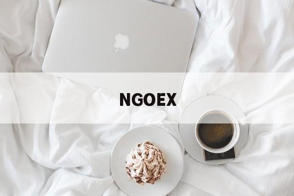 NGOEX(bizzan交易所) NGOEX(bizzan交易所)